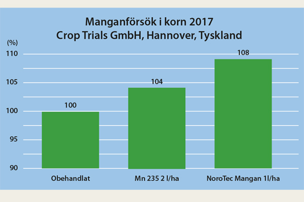 forsoksbilder9_mangan-korn